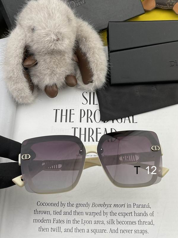 DIOR Sunglasses 393